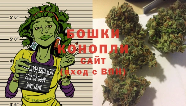 сатива Щёлкино