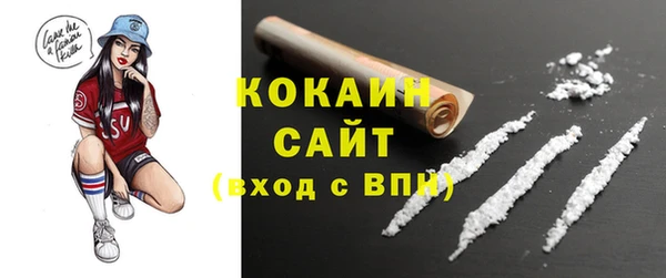 ПСИЛОЦИБИНОВЫЕ ГРИБЫ Щучье