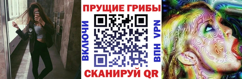 купить наркоту Биробиджан Псилоцибиновые грибы Psilocybine cubensis